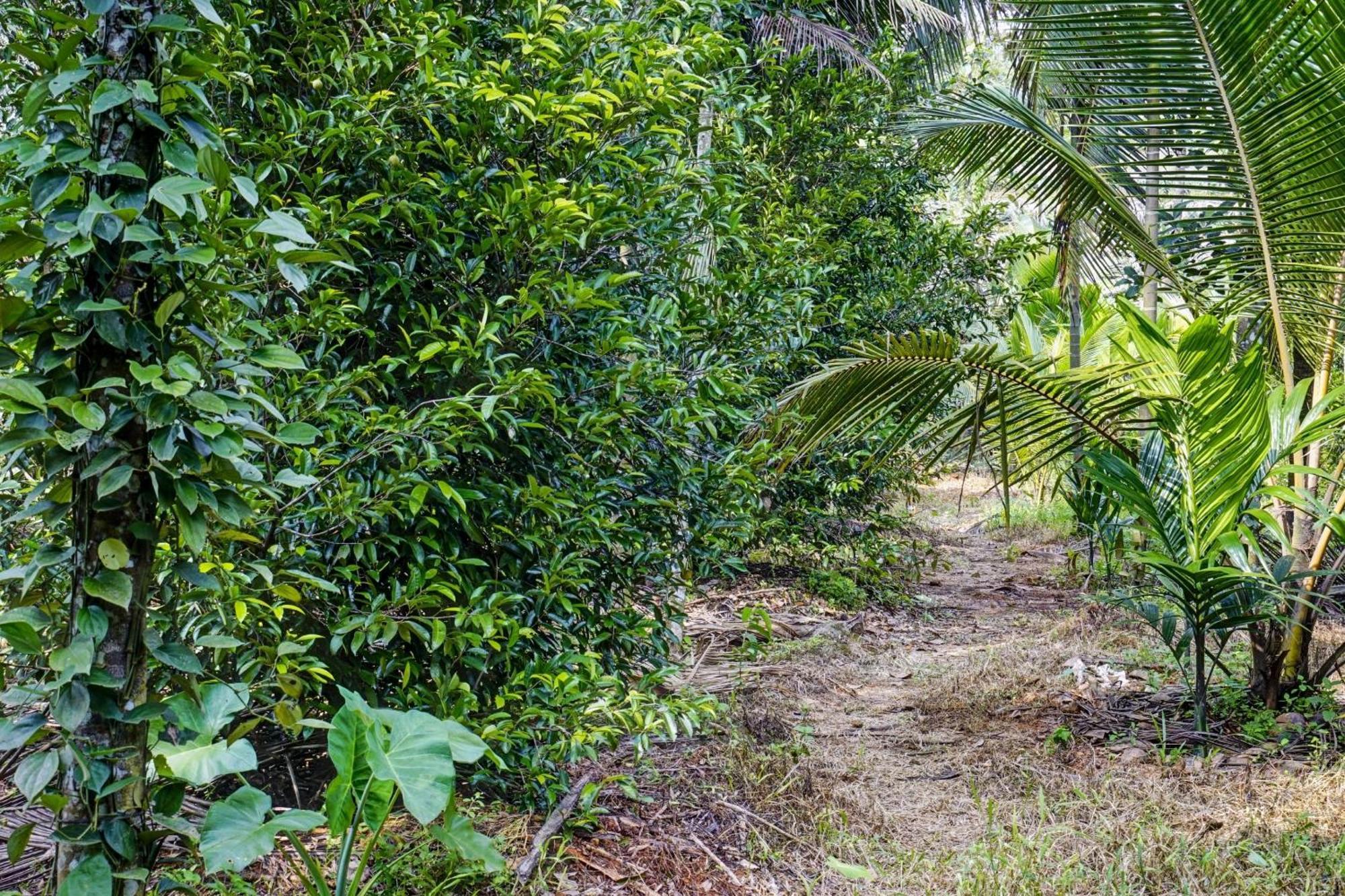 Spot On Shalom Palace Residency Neriyamangalam Kültér fotó