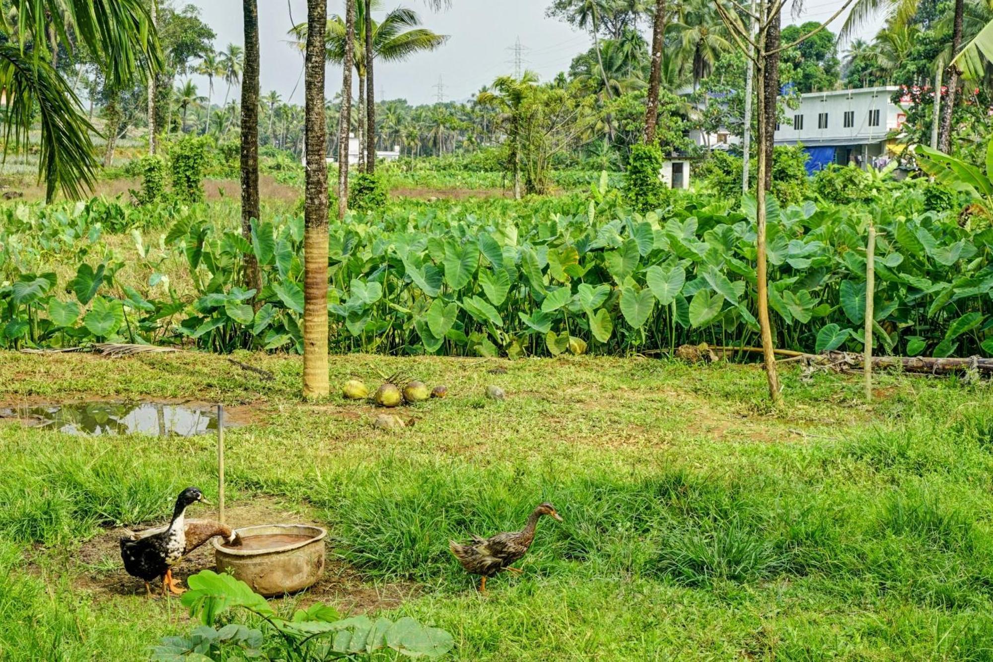 Spot On Shalom Palace Residency Neriyamangalam Kültér fotó